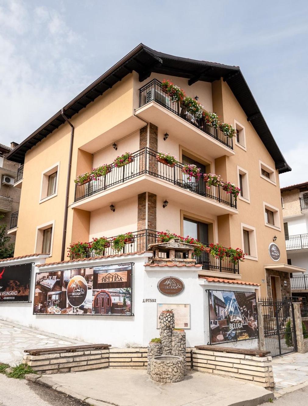 Beluga Guest House Velingrad Ngoại thất bức ảnh
